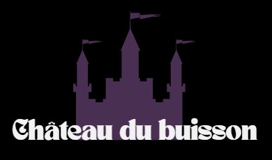 chateaudubuisson.fr